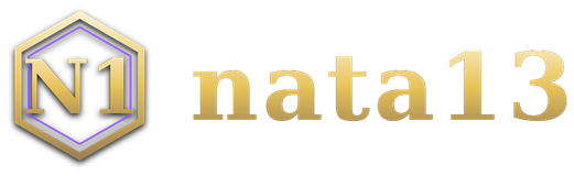 nata13 โลโก้